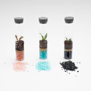 Birth Reception Distributions